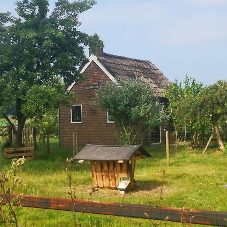 Trekkershut - Tiny House - Hikers Cottage Wijster Exterior photo